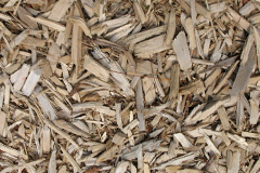 biomass boilers Delph
