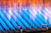 Delph gas fired boilers